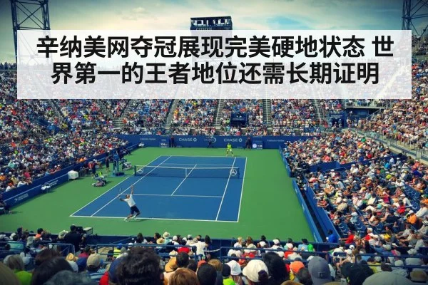 辛纳美网夺冠展现完美硬地状态 世界第一的王者地位还需长期证明
