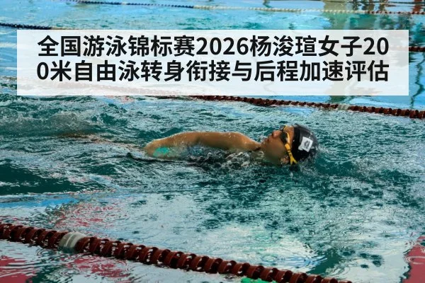 freestyle swimmer competition pool